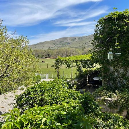 Domaine De Majastre Panzió Bauduen Kültér fotó