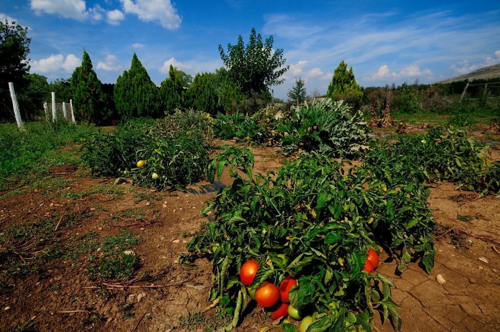 Domaine De Majastre Panzió Bauduen Kültér fotó