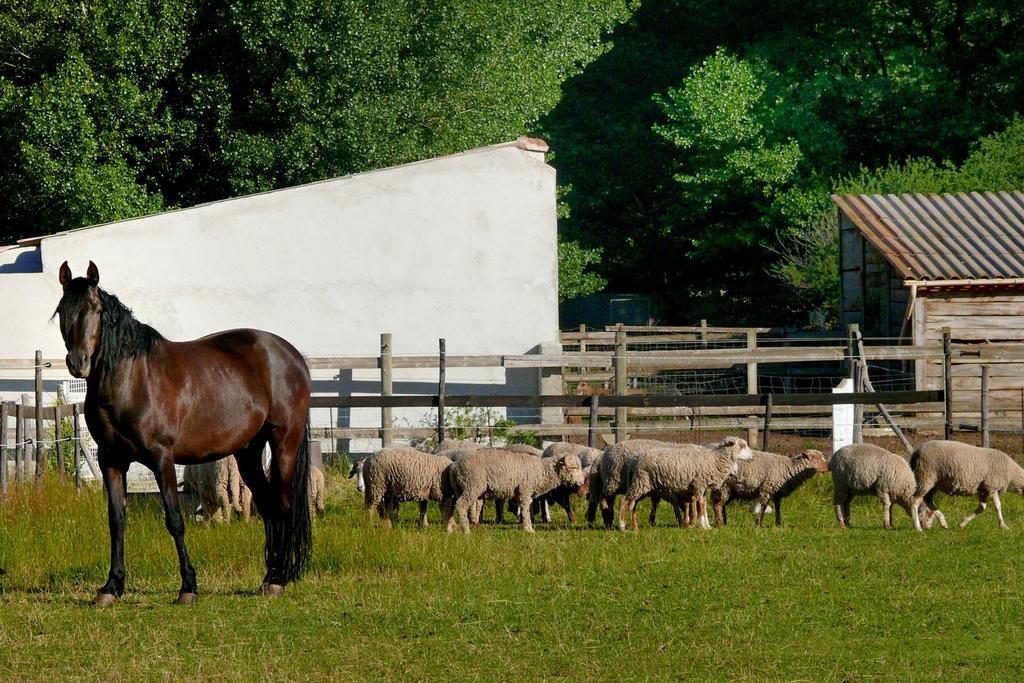 Domaine De Majastre Panzió Bauduen Kültér fotó