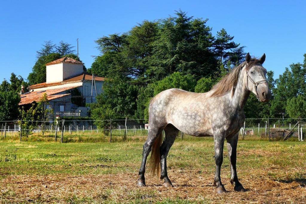 Domaine De Majastre Panzió Bauduen Kültér fotó